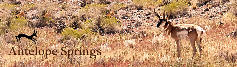 Antelope Springs Counseling